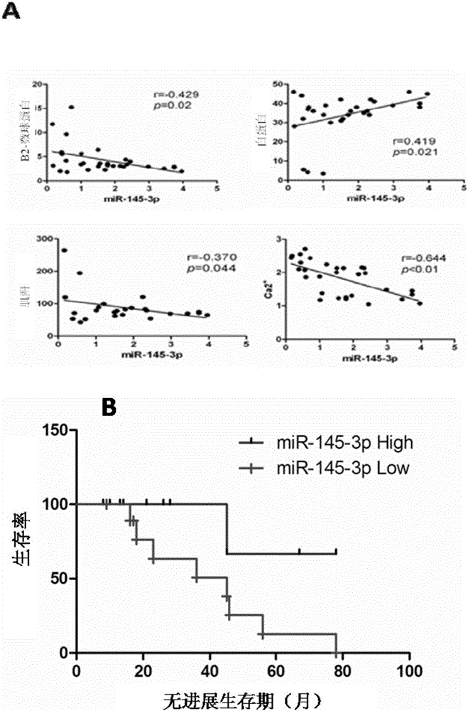 Application of miR-145-3p in preparing medicines for preventing or treating multiple myeloma disease