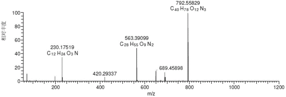 Tulathromycin related substance, enriching and preparation method and application thereof