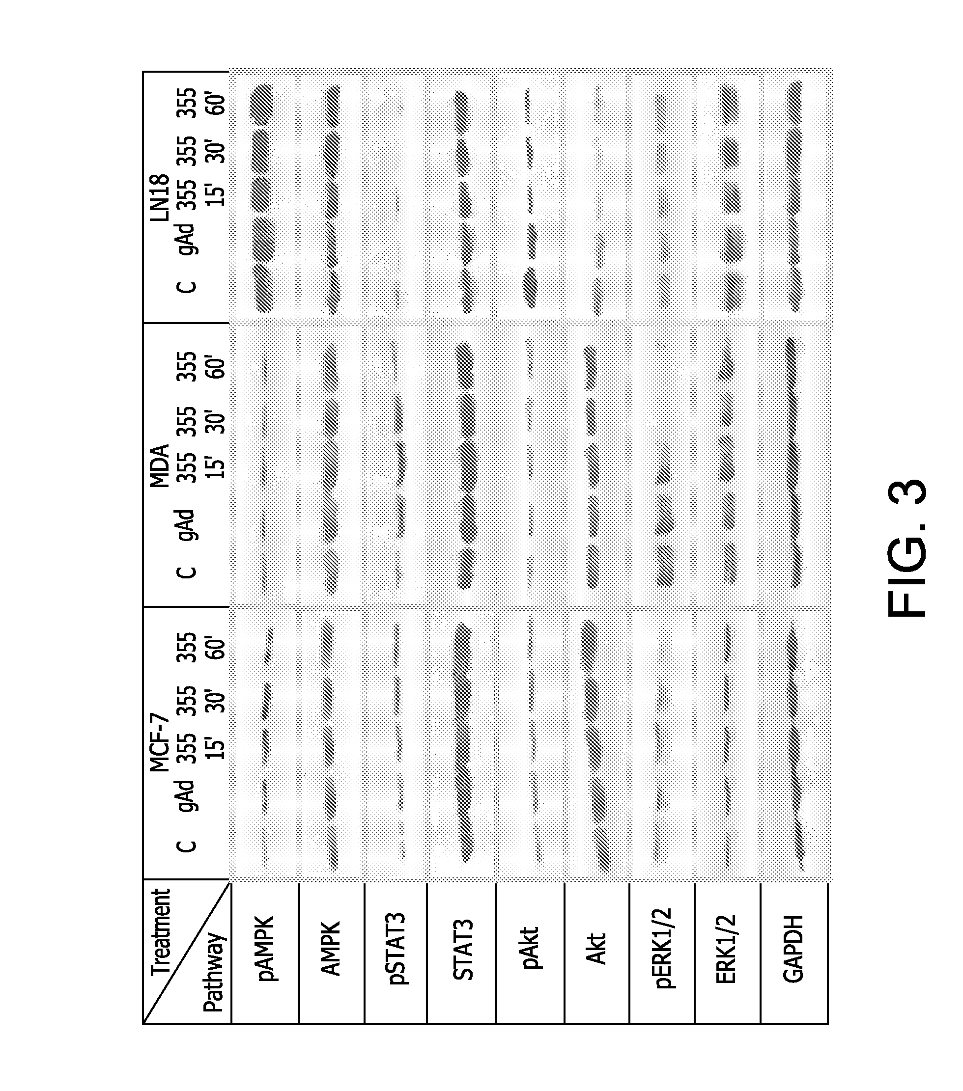 Adiponectin receptor agonists and methods of use