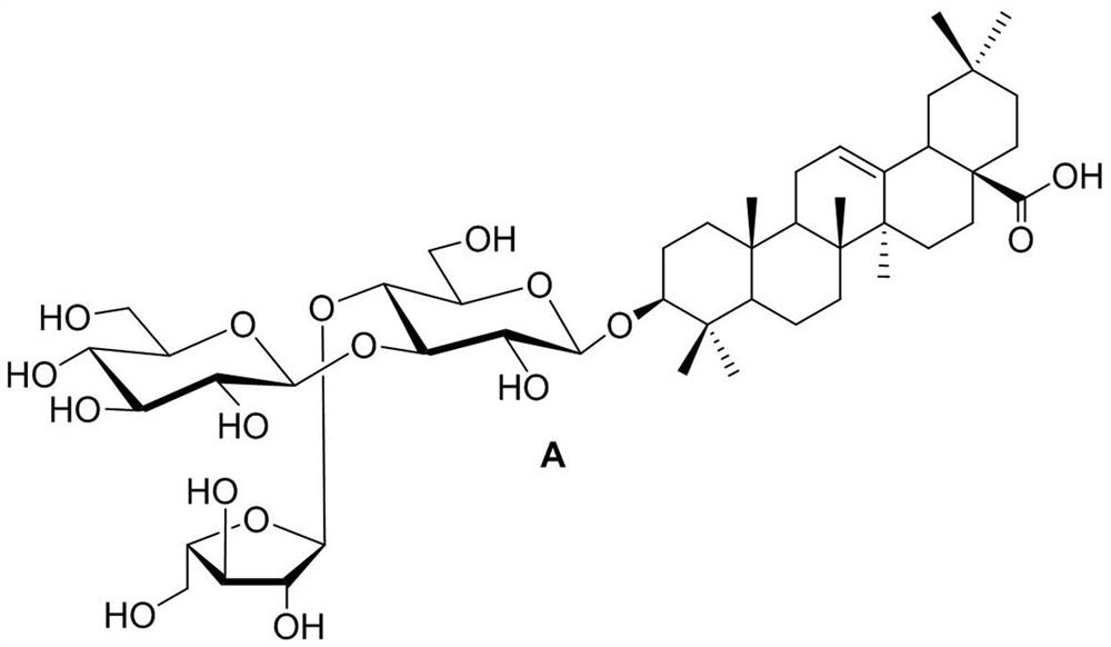 Novel panax stipuleanatus saponin analogue as well as synthesis method and application thereof