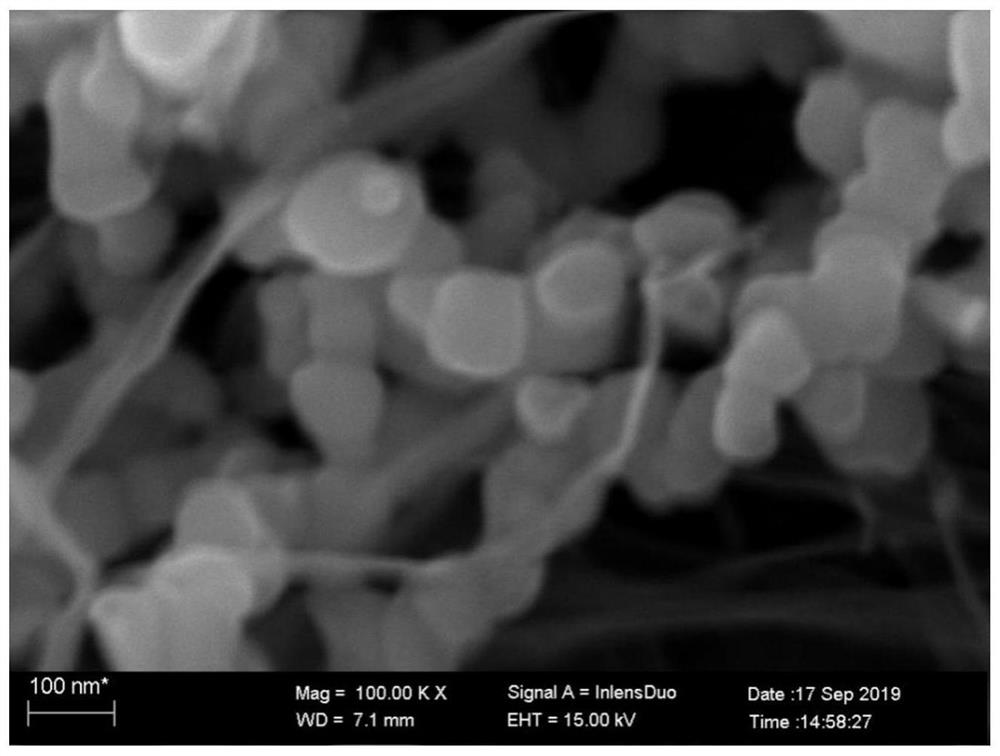 Bacterial cellulose membrane loaded nano zero-valent iron composite material, and preparation method and application thereof