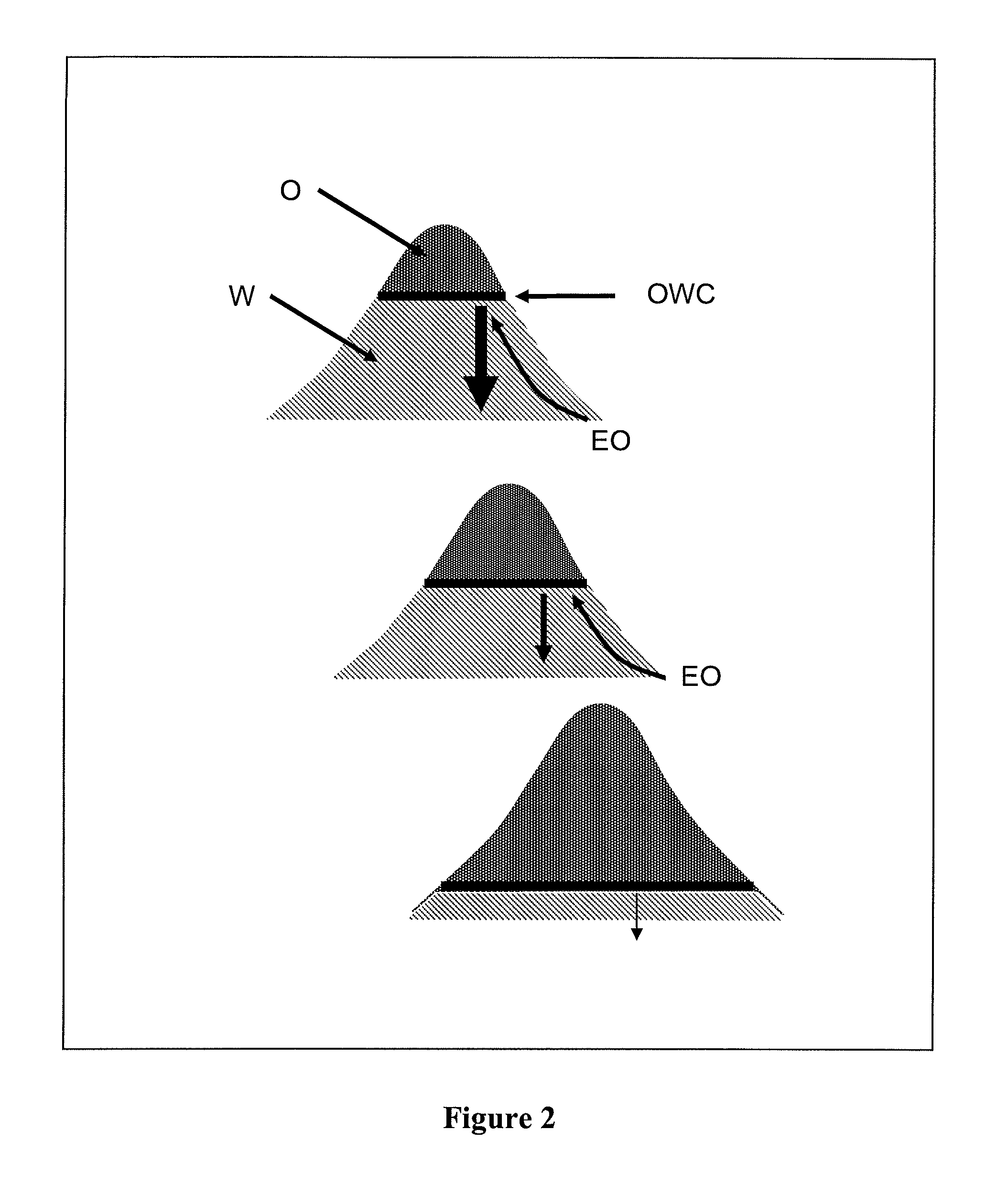 Method of evaluating the biodegradation of hydrocarbons trapped in a basin