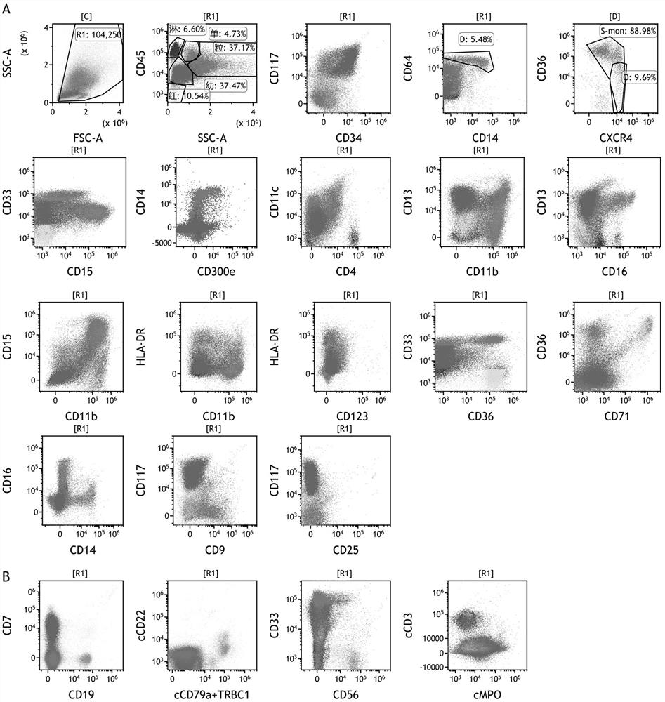 A group of antibody compositions for immunophenotyping of myeloid tumors and their applications