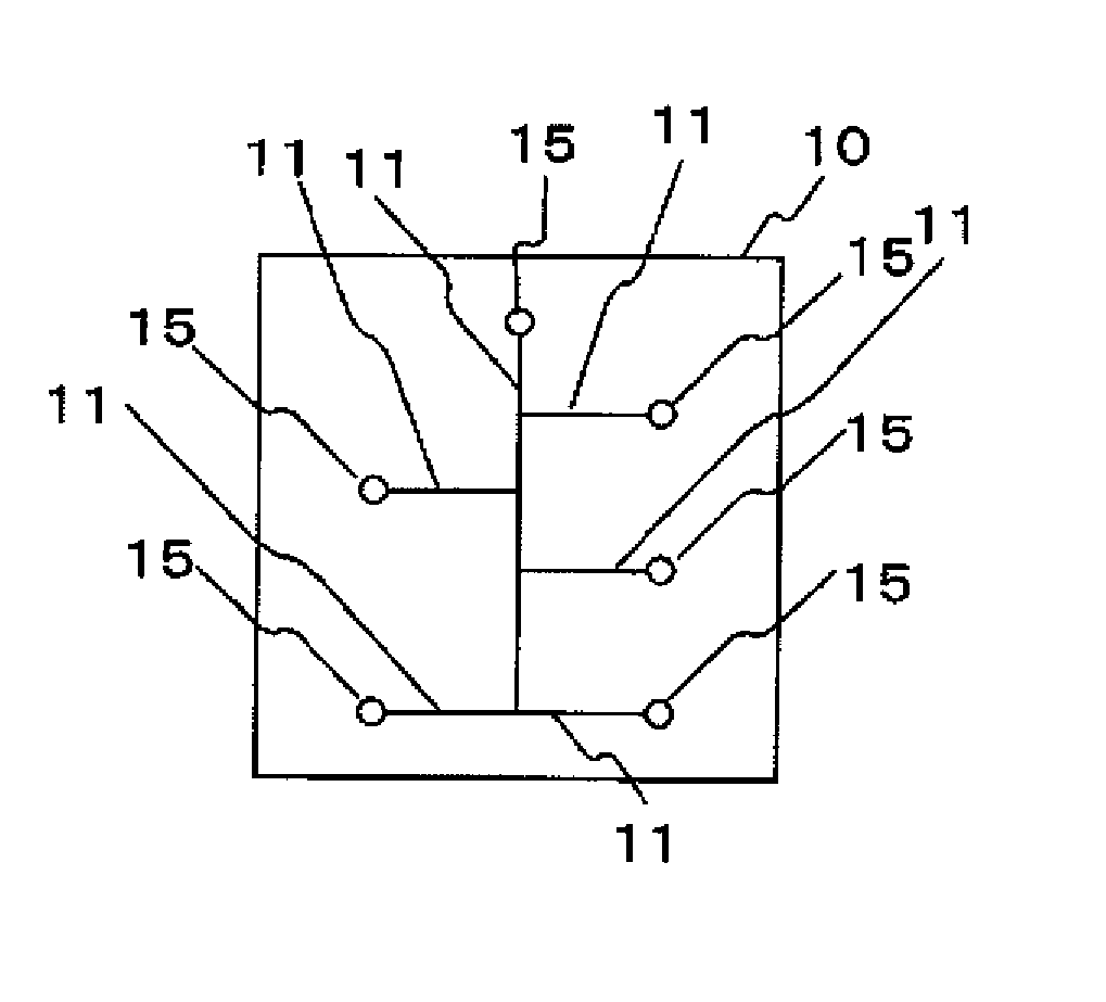 Microchip and Method of Manufacturing Same