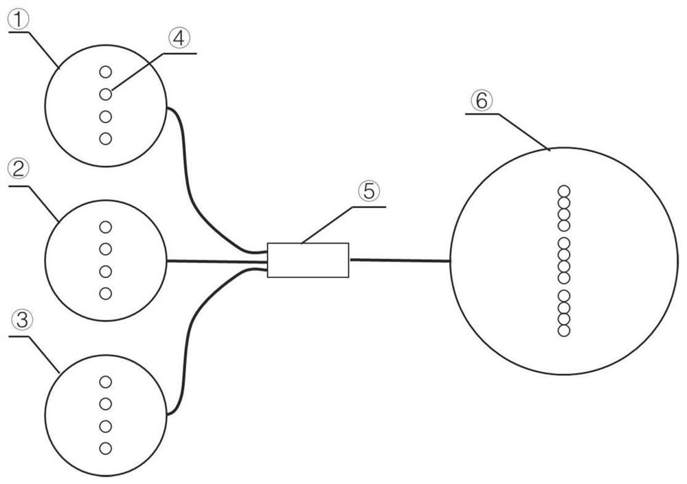 Multi-probe gas Raman spectrum system and mixed gas quantitative analysis method