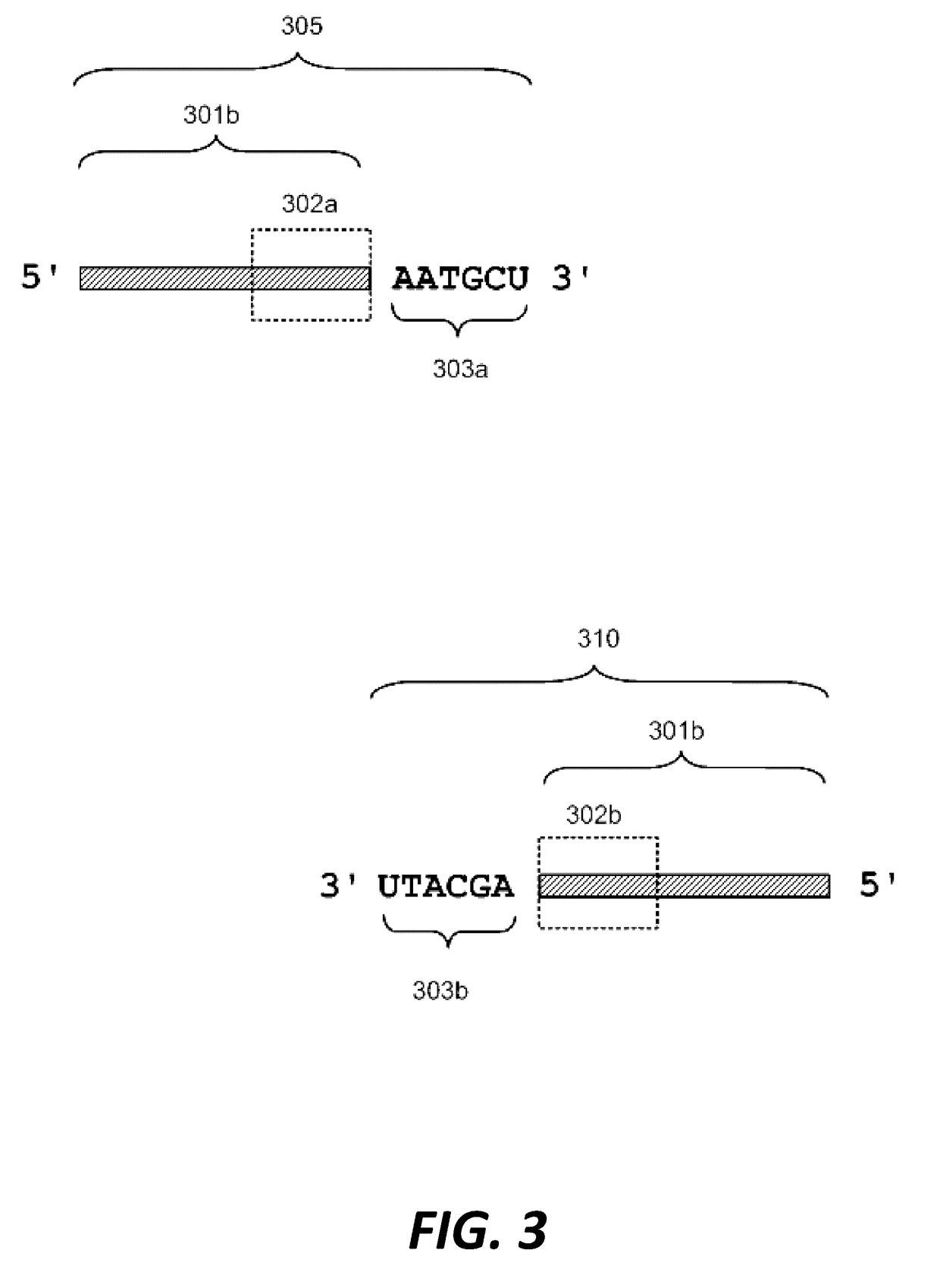 Compositions and methods for synthetic gene assembly