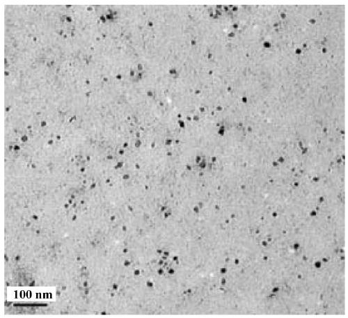 Nano diagnosis and treatment agent material capable of efficiently crossing blood-brain barrier and targeting in-situ glioma and preparation method of nano diagnosis and treatment agent material