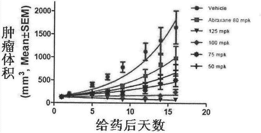 Paclitaxel antitumor preparation and preparation method thereof