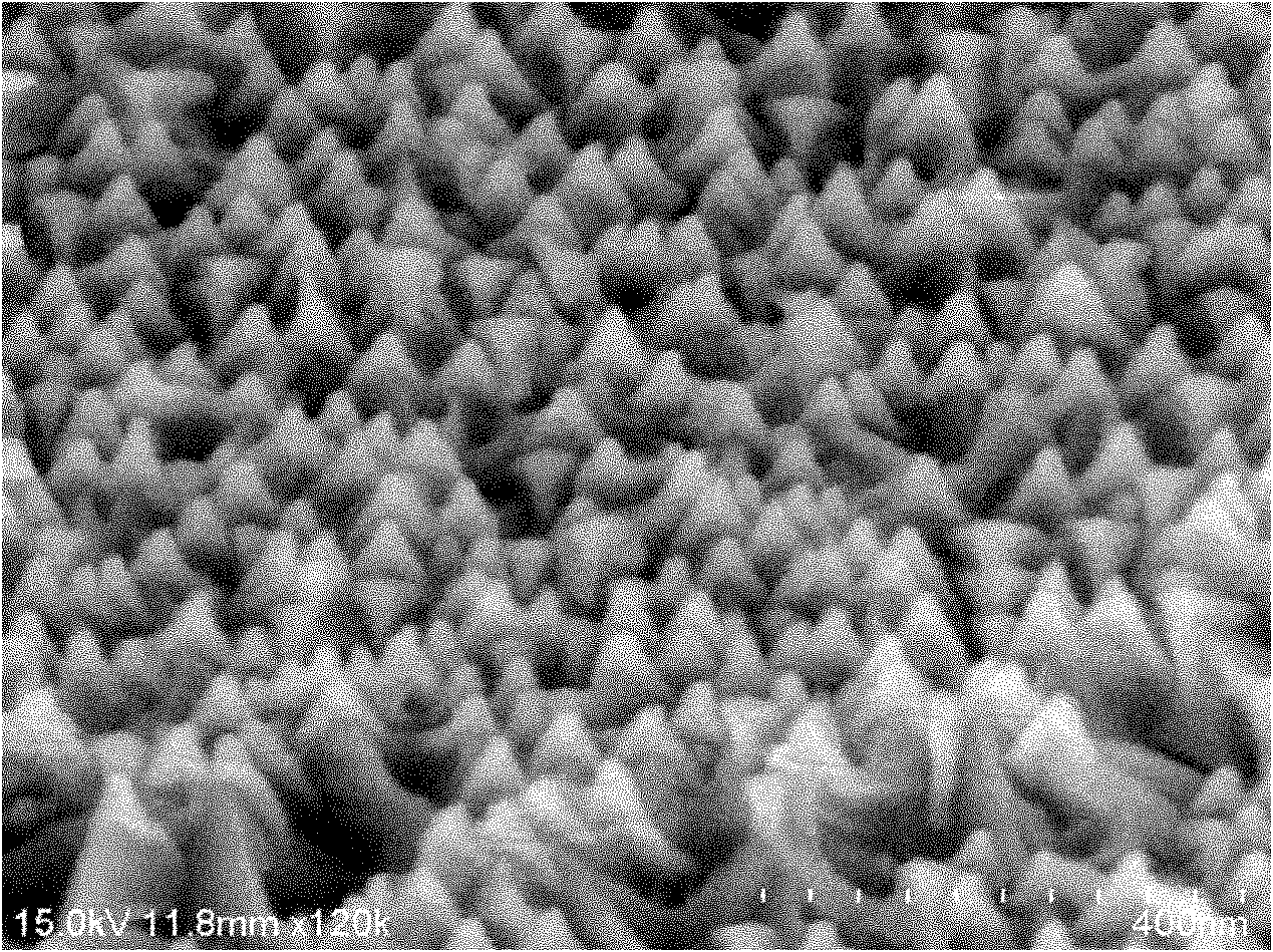 Method for producing gold nanoarray ultramicroelectrode