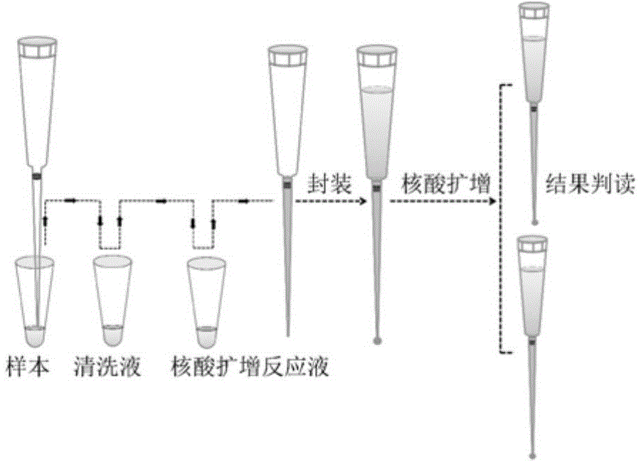 Sample pretreatment and amplification integrated nucleic acid analysis system based on pipette tip and application of system