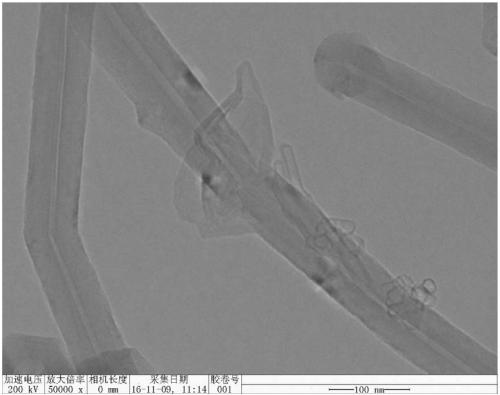 Purification device and method for carbon nanotube purification