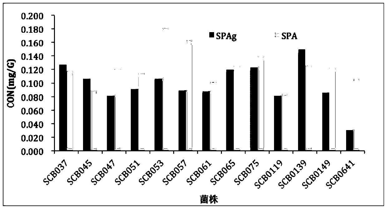 Bean yoghourt suitability strain, microbial agent and application thereof