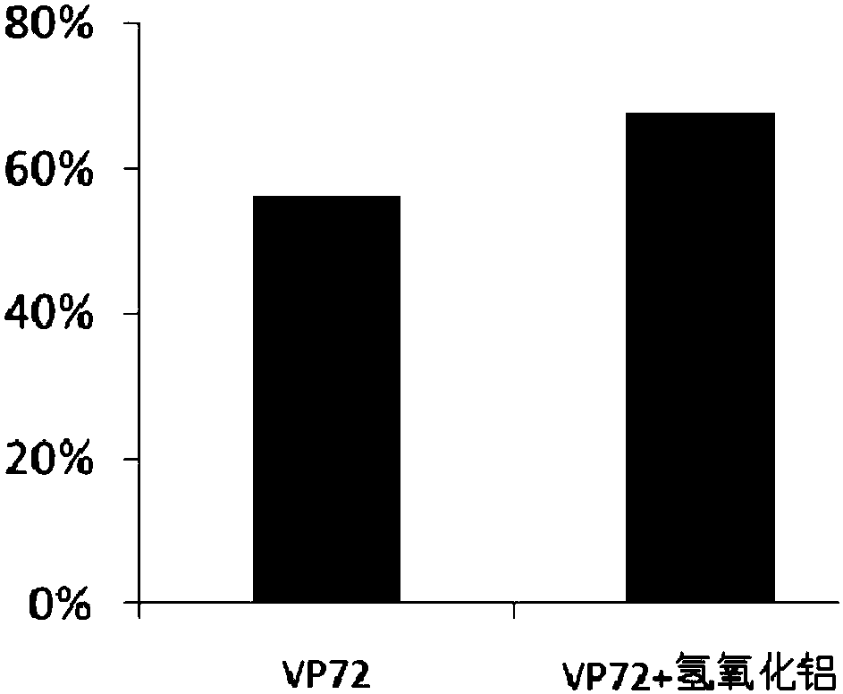 Subunit vaccine for grouper iridovirus and preparation method and application of vaccine