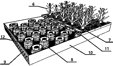 A floating device integrating wave dissipation and offshore farming
