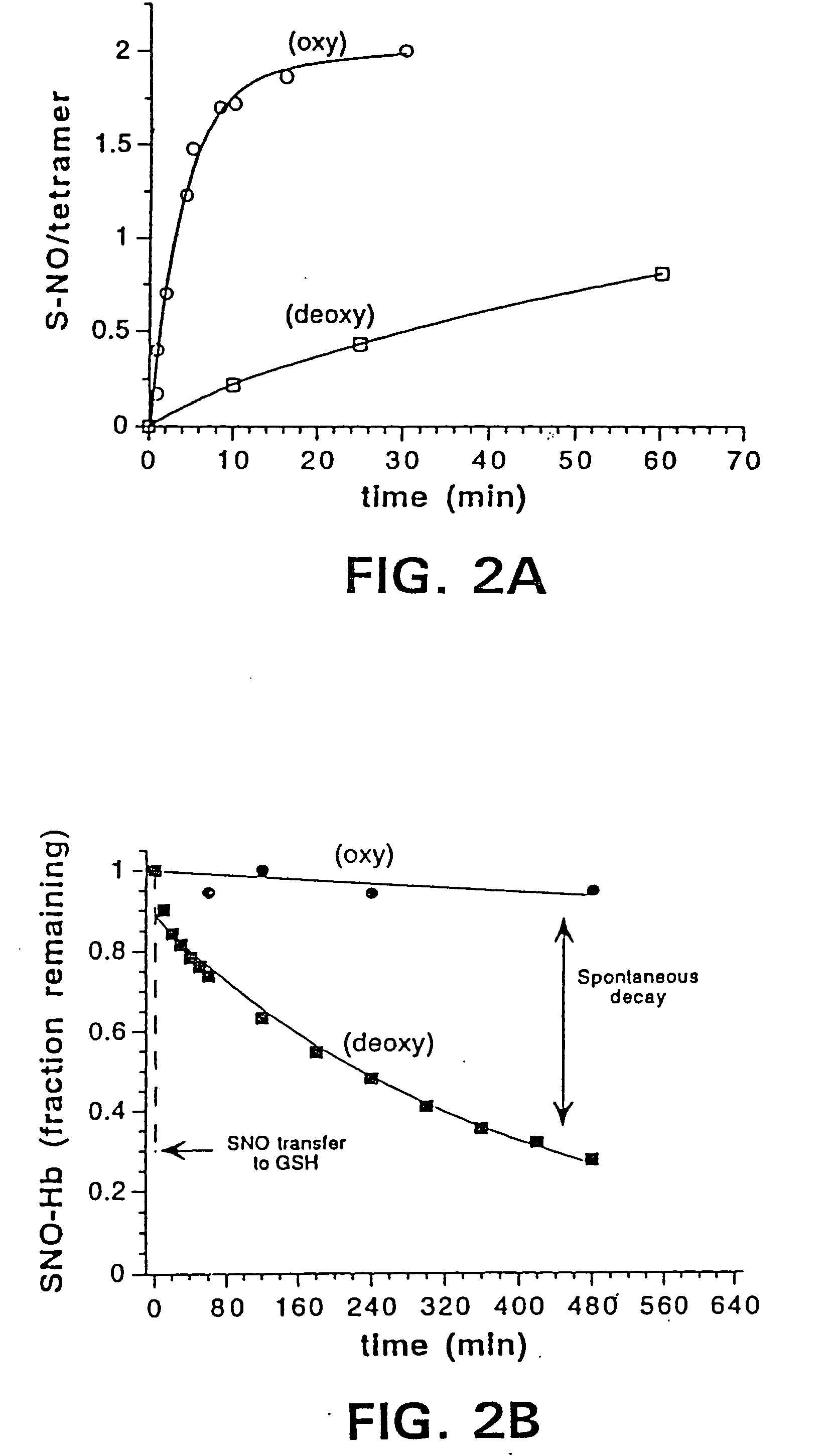 Red blood cells loaded with S-nitrosothiol and uses therefor