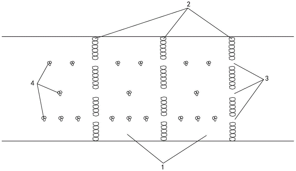 Ecological fishway with multi-level flow velocity channels