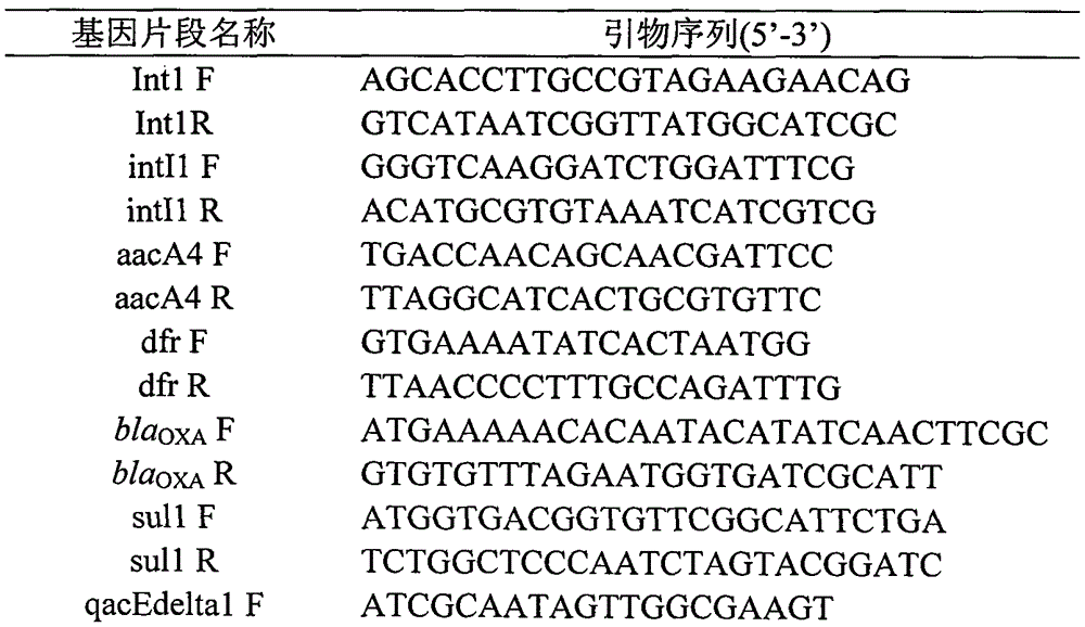 Integron In1085