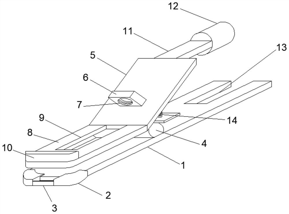 An auxiliary medicine feeding device for mental nursing