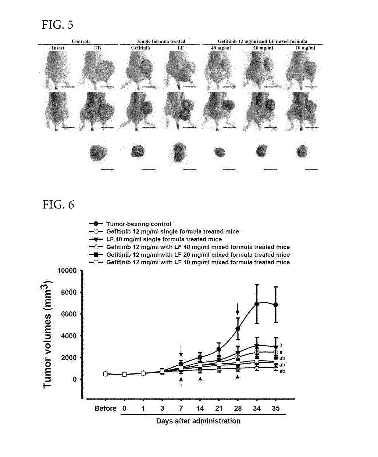 Composition for treatment or prevention of lung cancer and a method therefore