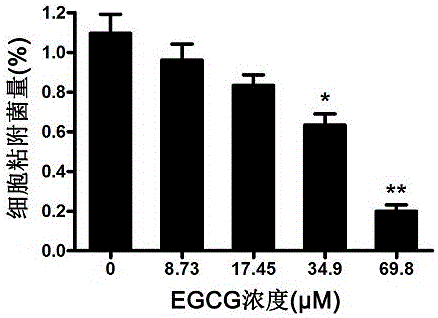 EGCG with inhibitory effect on streptococcus pneumoniae pathogenicity and application