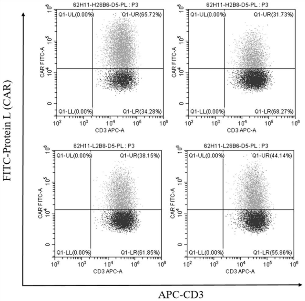 Anti-b7h3 chimeric antigen receptor and its application