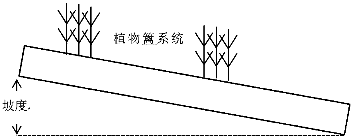 Application method for constructing plant hedge to intercept phosphorus pollution of farmland runoff under sloping field condition, and plant hedge system thereof