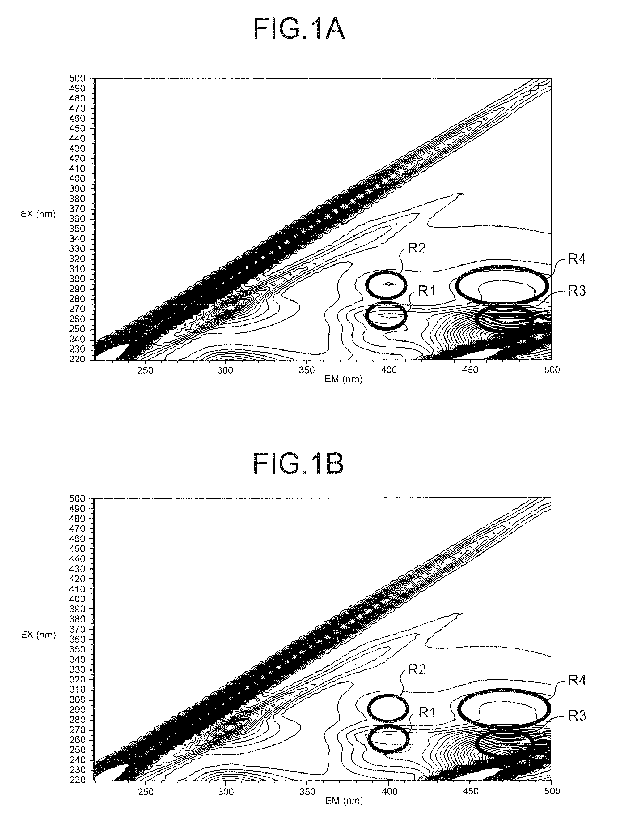 Method and apparatus for measuring bromate ions