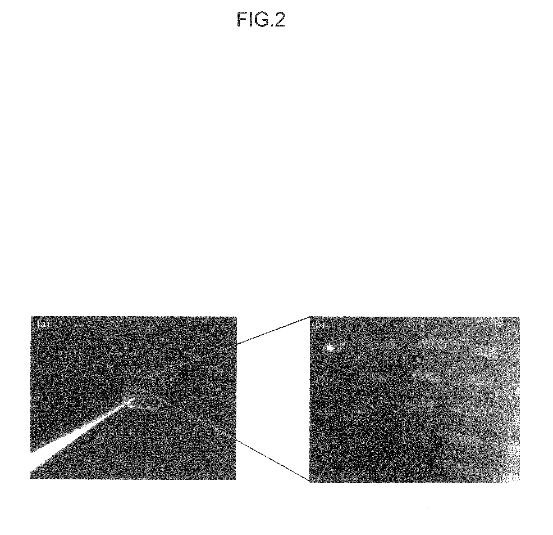 Thin film-like polymer structure and method for preparing the same