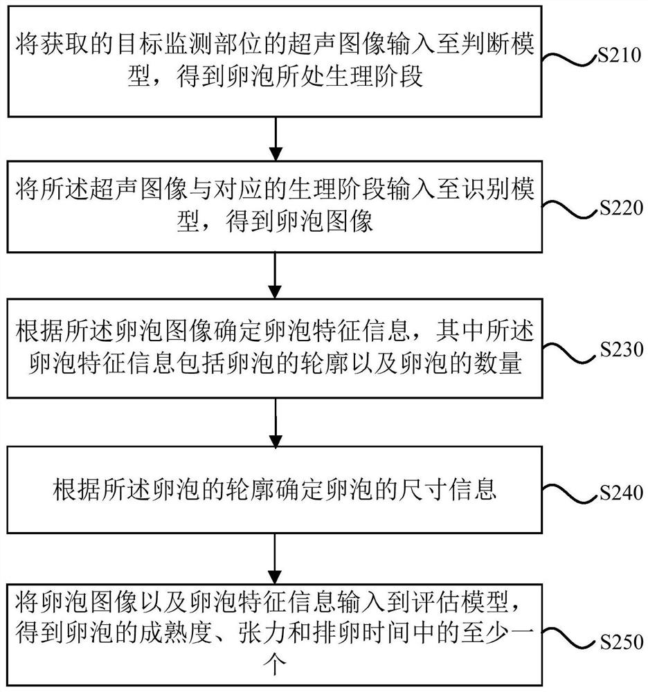 Follicle monitoring method, device, system and storage medium