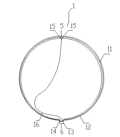 Biodegradable fabric body capable of being developed and conveying device