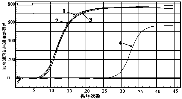 Monodispersed nano magnetic bead used for rapid sample pretreatment and preparation method thereof