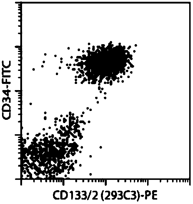 Liver cancer stem cell vaccine as well as preparation method and application thereof