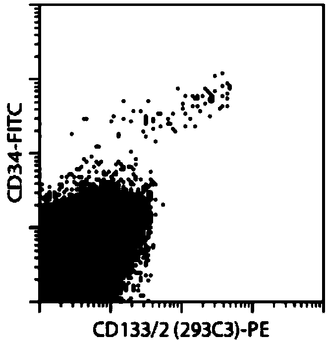 Liver cancer stem cell vaccine as well as preparation method and application thereof