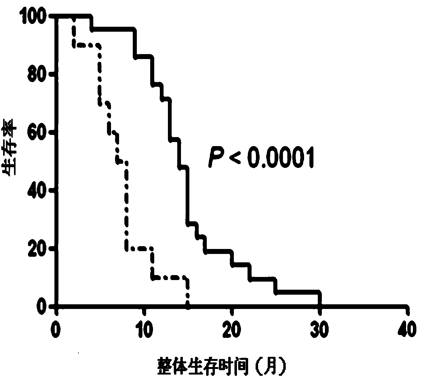 Liver cancer stem cell vaccine as well as preparation method and application thereof