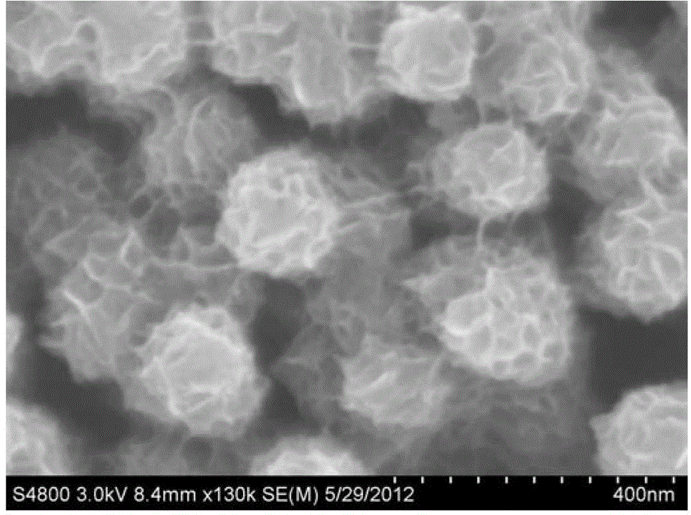 Preparation method and application of a titanium dioxide heterojunction photoanode