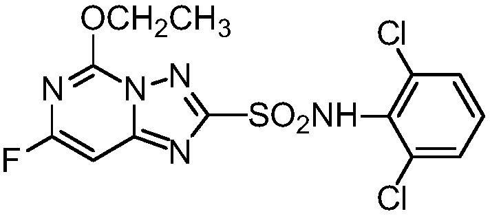 Herbicidal composition containing diclosulam