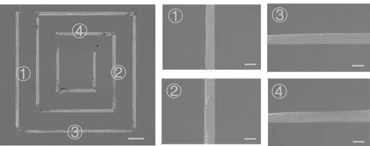 Printing preparation method and application of single-orientation organic semiconductor crystal patterned array