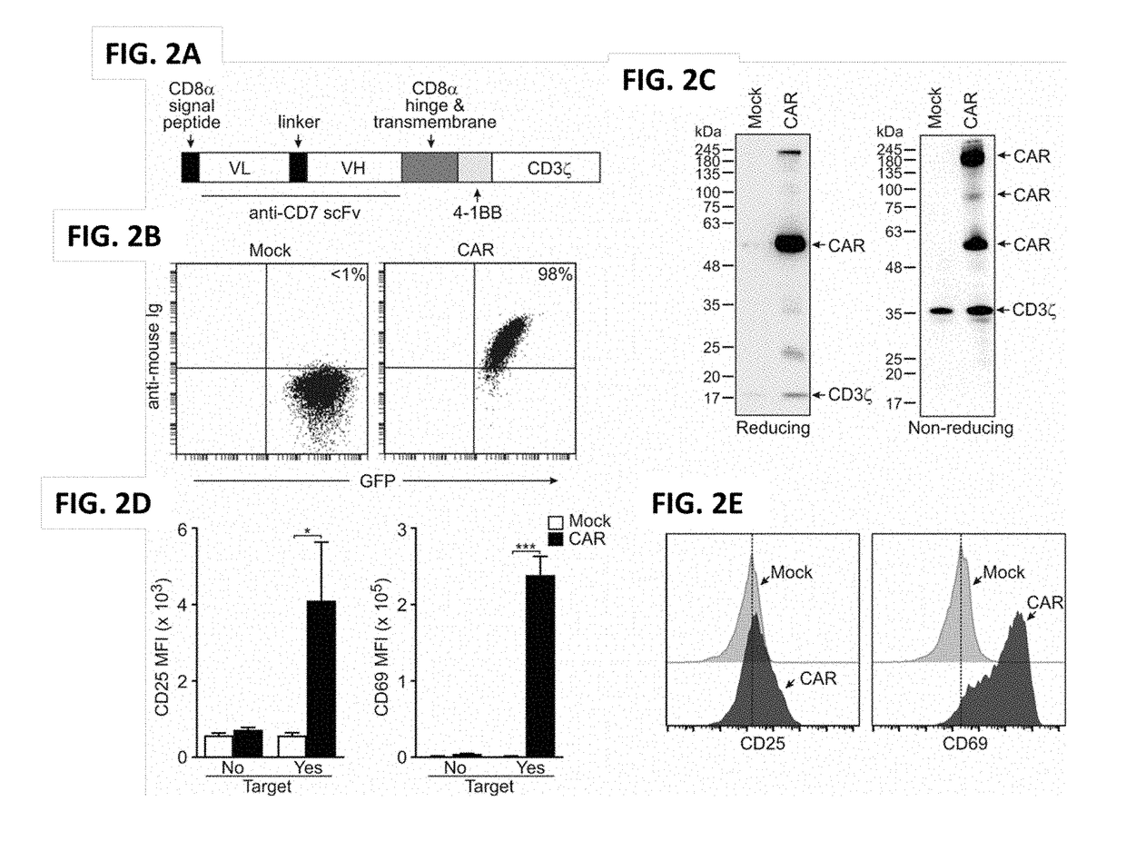 Blockade of cd7 expression and chimeric antigen receptors for immunotherapy of t-cell malignancies