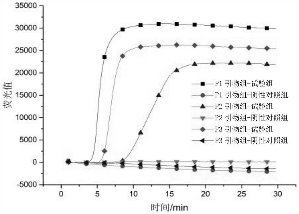 Constant-temperature detection method for identifying lactobacillus brevis as well as special primer and kit thereof