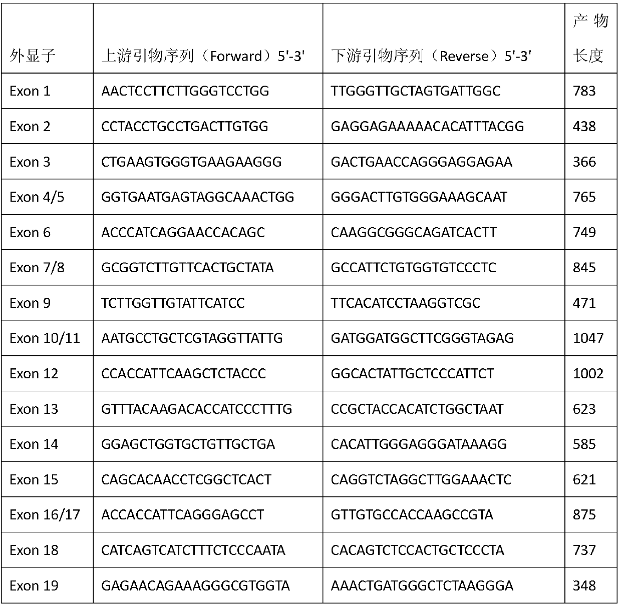 New mutation-causing gene slc12a3 in gitelman syndrome, its encoded protein and its application