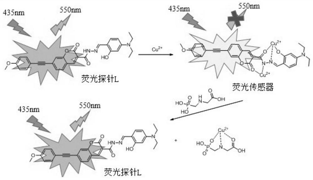 Preparation method and application of fluorescence sensor for detecting glyphosate