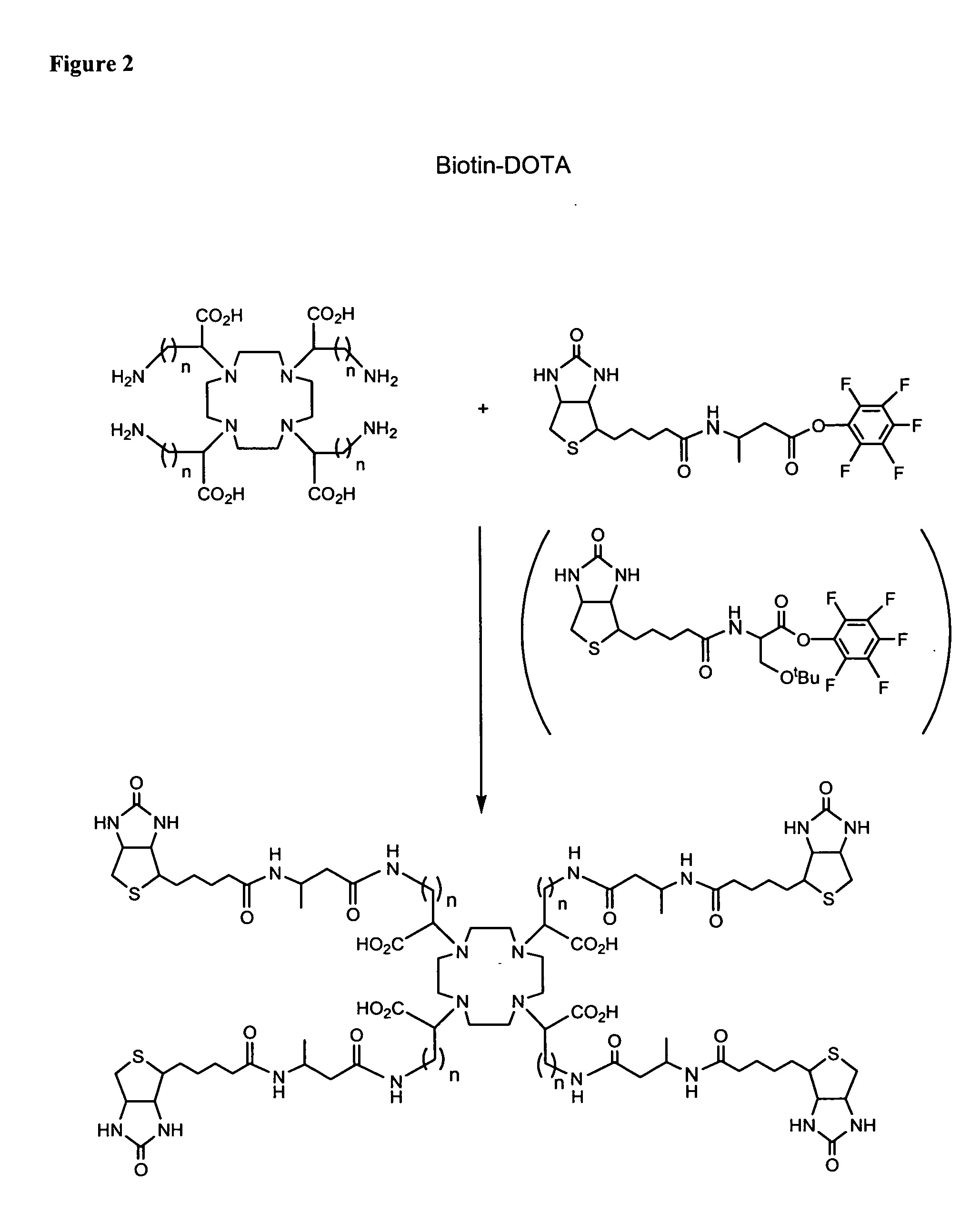 Polybiotin compounds for magnetic resonance imaging and drug delivery