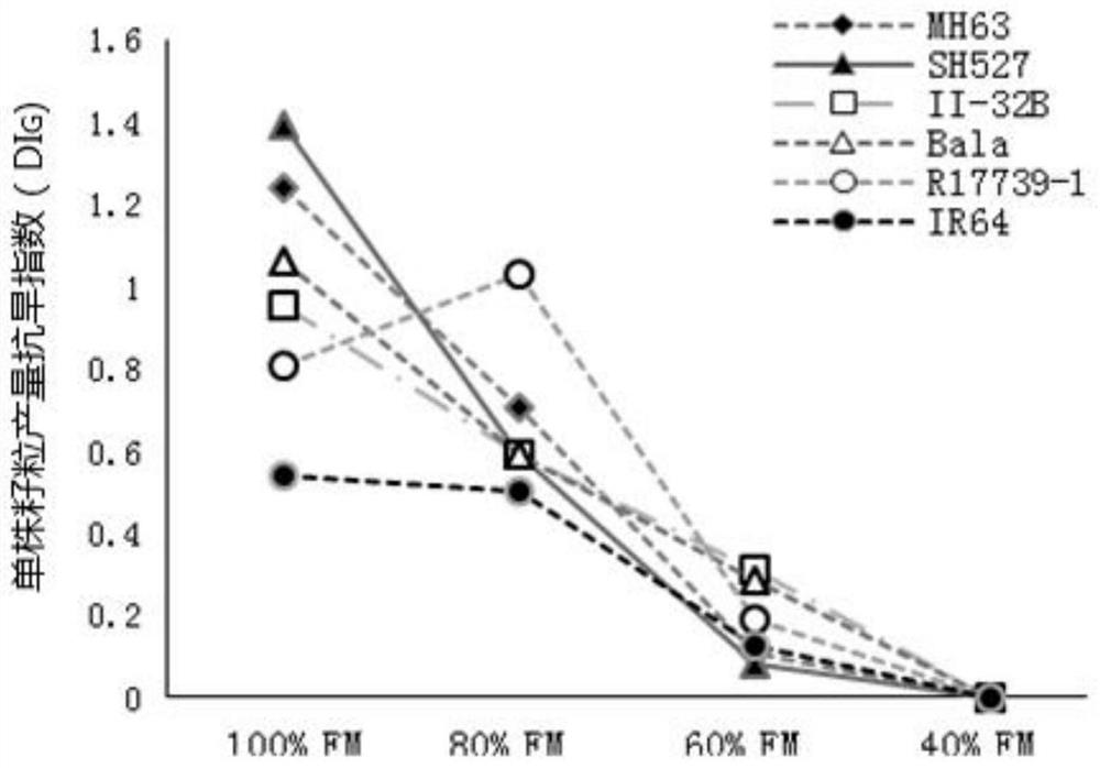 A method for evaluating drought resistance of rice based on multi-gradient multi-trait comprehensive drought resistance index