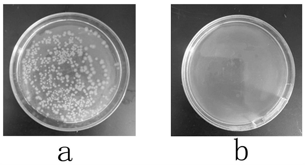 Cl-modified GQD/APGQAS/acidified attapulgite nano-composite antibacterial agent and preparation method thereof