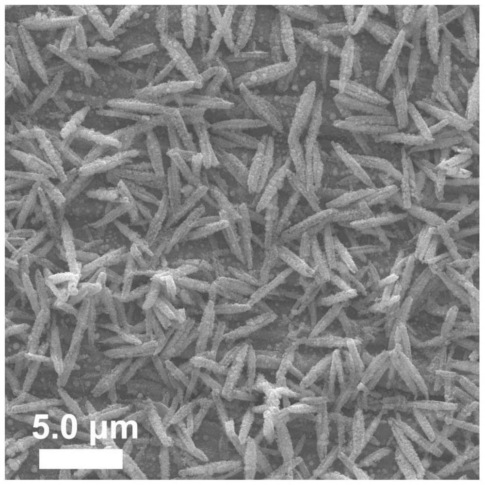 A kind of preparation method of spindle-shaped platinum nanoparticles