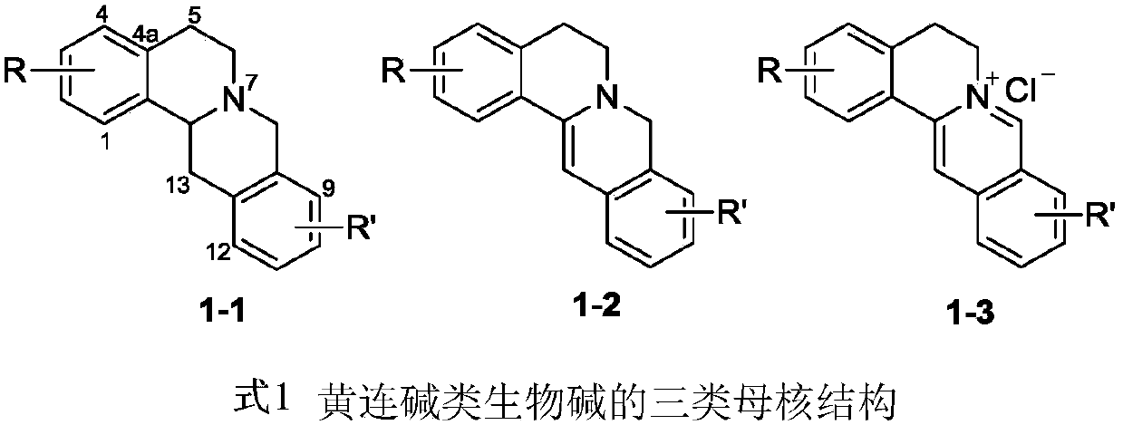 Coptisine derivatives, preparation method, pharmaceutical composition and antitumor application thereof