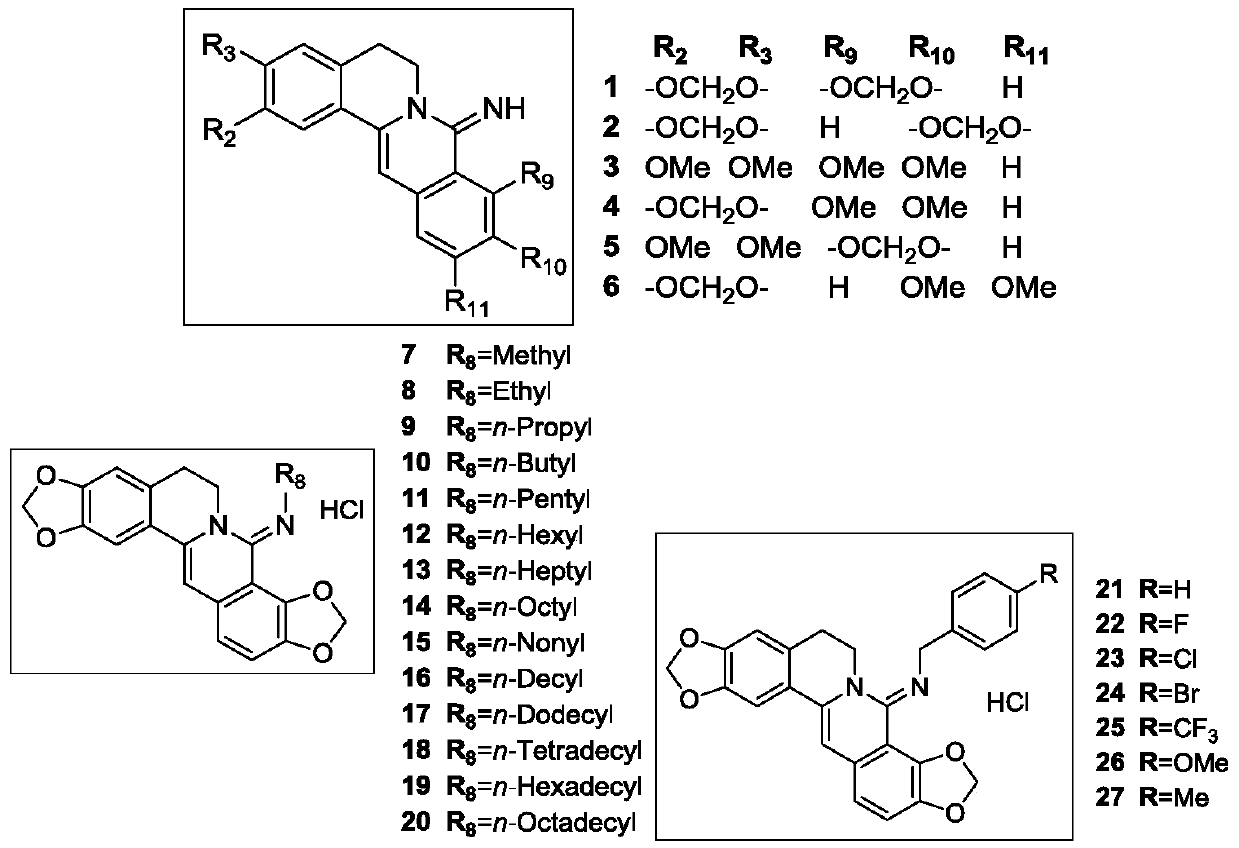 Coptisine derivatives, preparation method, pharmaceutical composition and antitumor application thereof