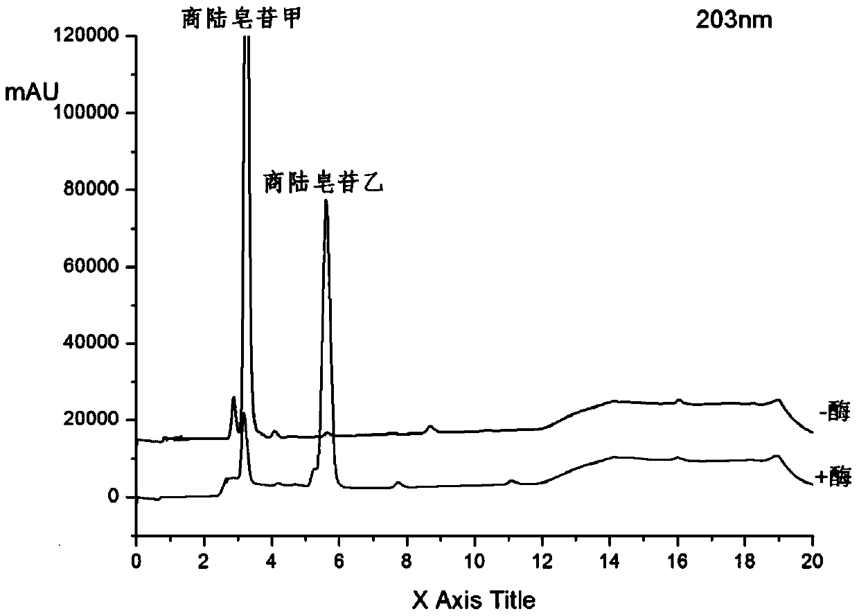 A kind of method of enzymatic hydrolysis of pokeweed saponin A to prepare pokeweed saponin B