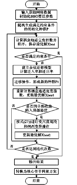 Method for constructing core backbone grid structure based on BBO algorithm and power grid survivability