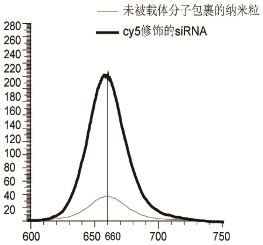 siRNA-loaded nanoparticles for CT/fluorescence dual-modality imaging and preparation methods and applications